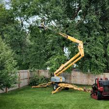 Best Tree Mulching  in West Menlo Park, CA